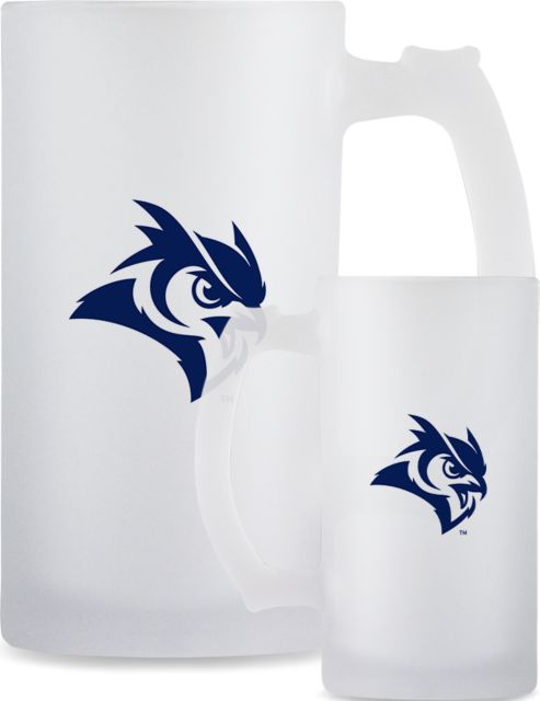 Rice Full Color Decorative Frosted Glass Mug 16oz Owl Head - ONLINE ONLY