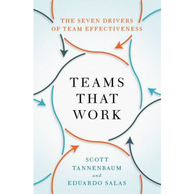 Teams That Work : The Seven Drivers of Team Effectiveness